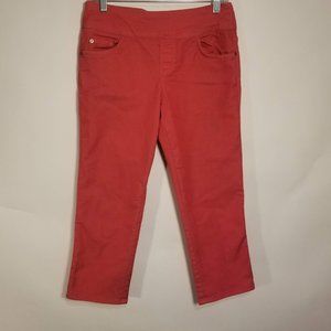 Intro Skinny Capri Pants Stretch Crop